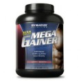Mega Gainer - Chocolate